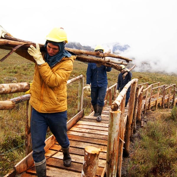  En el parque We’pe Wala, en el Tolima, se construyen pasarelas ambientales, para evitar el pisoteo del ecosistema.