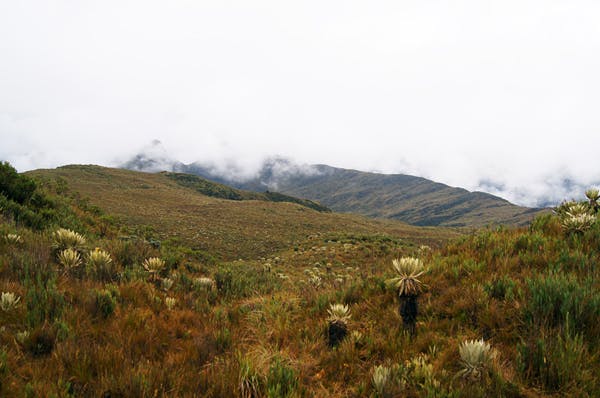El espectacular paisaje del Parque Regional es cuidado al máximo por el Grupo Energía Bogotá.