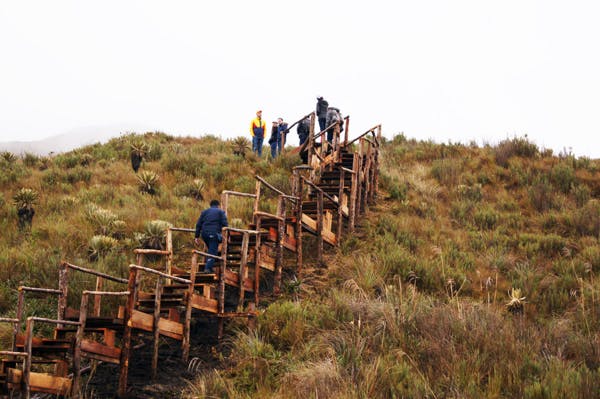 En el proyecto Tesalia-Alférez se construyen 1,1 kilómetros de pasarelas ambientales, para proteger el ecosistema.